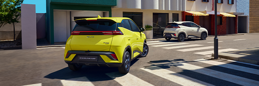 BYD Dolphin Surf Citadine electrique