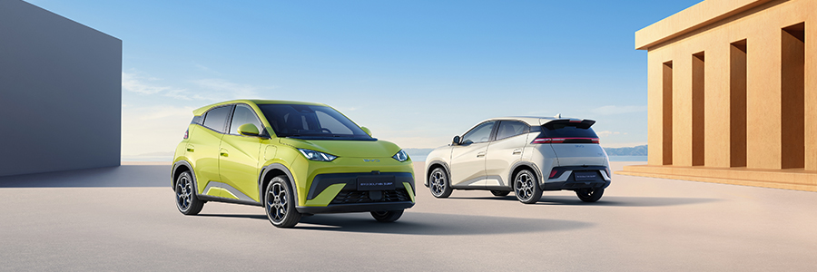 Design BYD Dolphin Surf